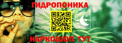 индика Конаково