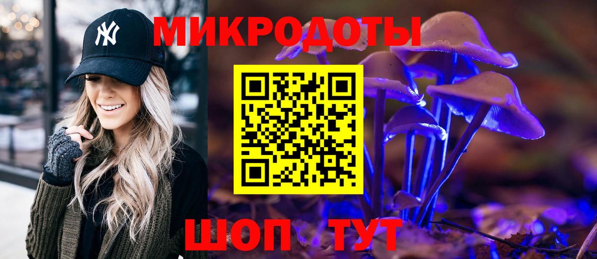 Псилоцибиновые грибы мицелий  магазин  наркотиков  Качканар  Вход с VPN 