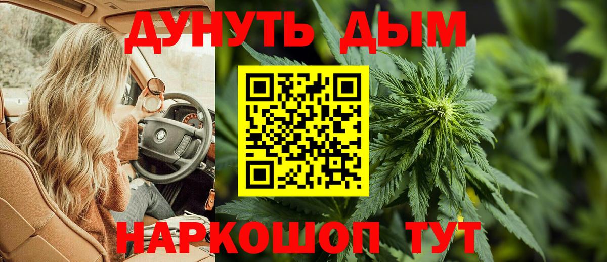Бошки Шишки Amnesia Качканар